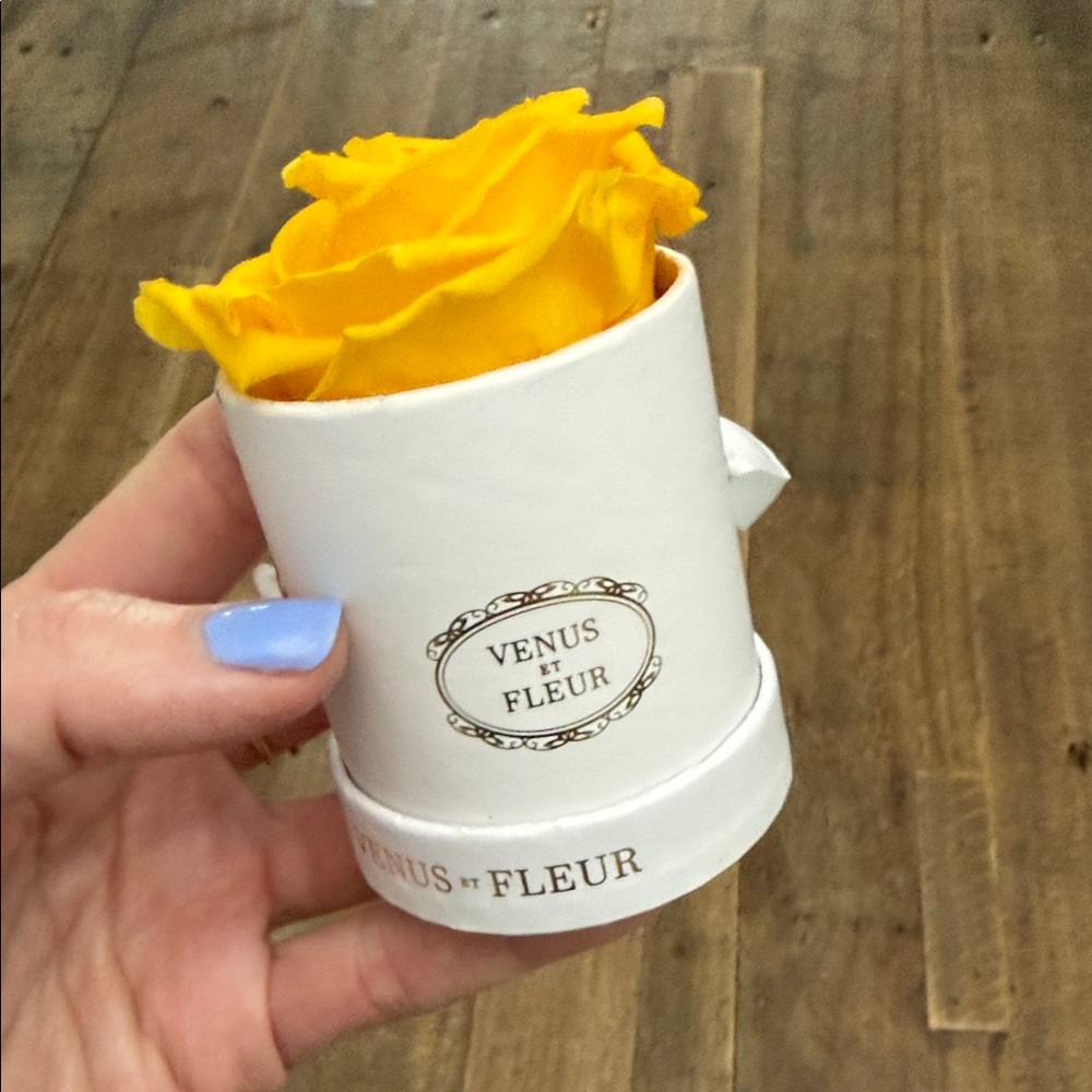 Venus Et Fleur Yellow Rose in White Box
